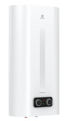 Royal Clima Dry Force Inox RWH-DF100-FS